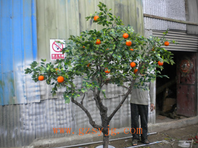 仿真橘子树树叶 树皮 树杆定制厂家 大型仿真桔子树 假橘子桔子树销售价格