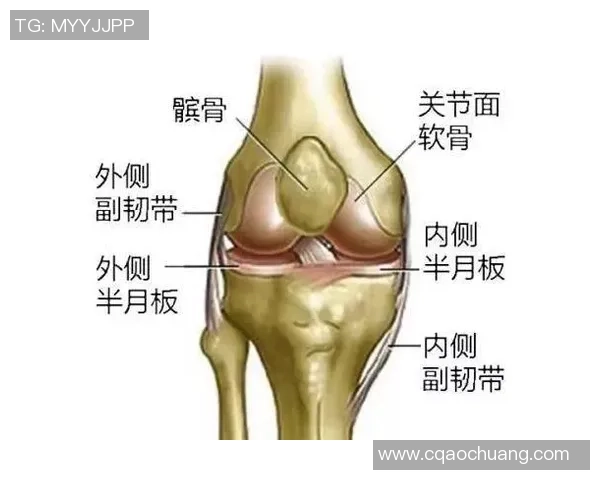 足球碳板的创新技术如何提升运动员表现与比赛安全性分析