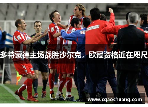 多特蒙德主场战胜沙尔克，欧冠资格近在咫尺