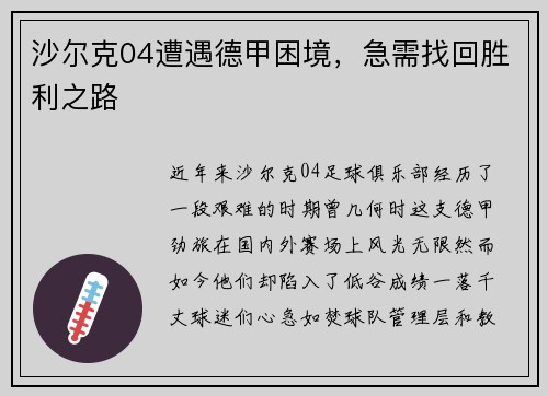 沙尔克04遭遇德甲困境，急需找回胜利之路