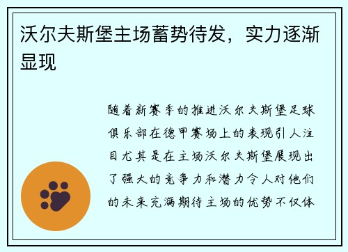 沃尔夫斯堡主场蓄势待发，实力逐渐显现
