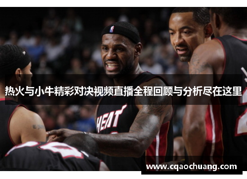 热火与小牛精彩对决视频直播全程回顾与分析尽在这里