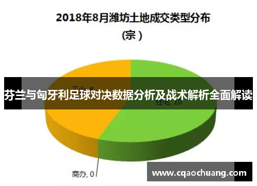 芬兰与匈牙利足球对决数据分析及战术解析全面解读
