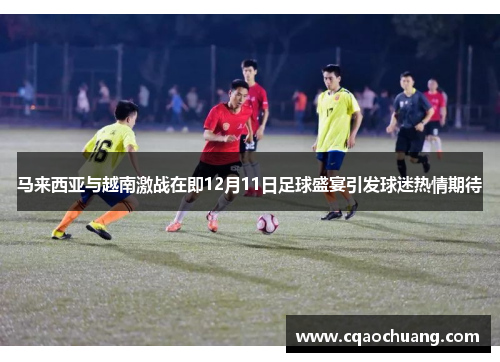 马来西亚与越南激战在即12月11日足球盛宴引发球迷热情期待