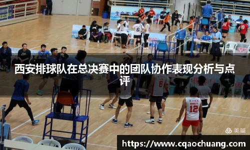 zoty中欧体育官方网站